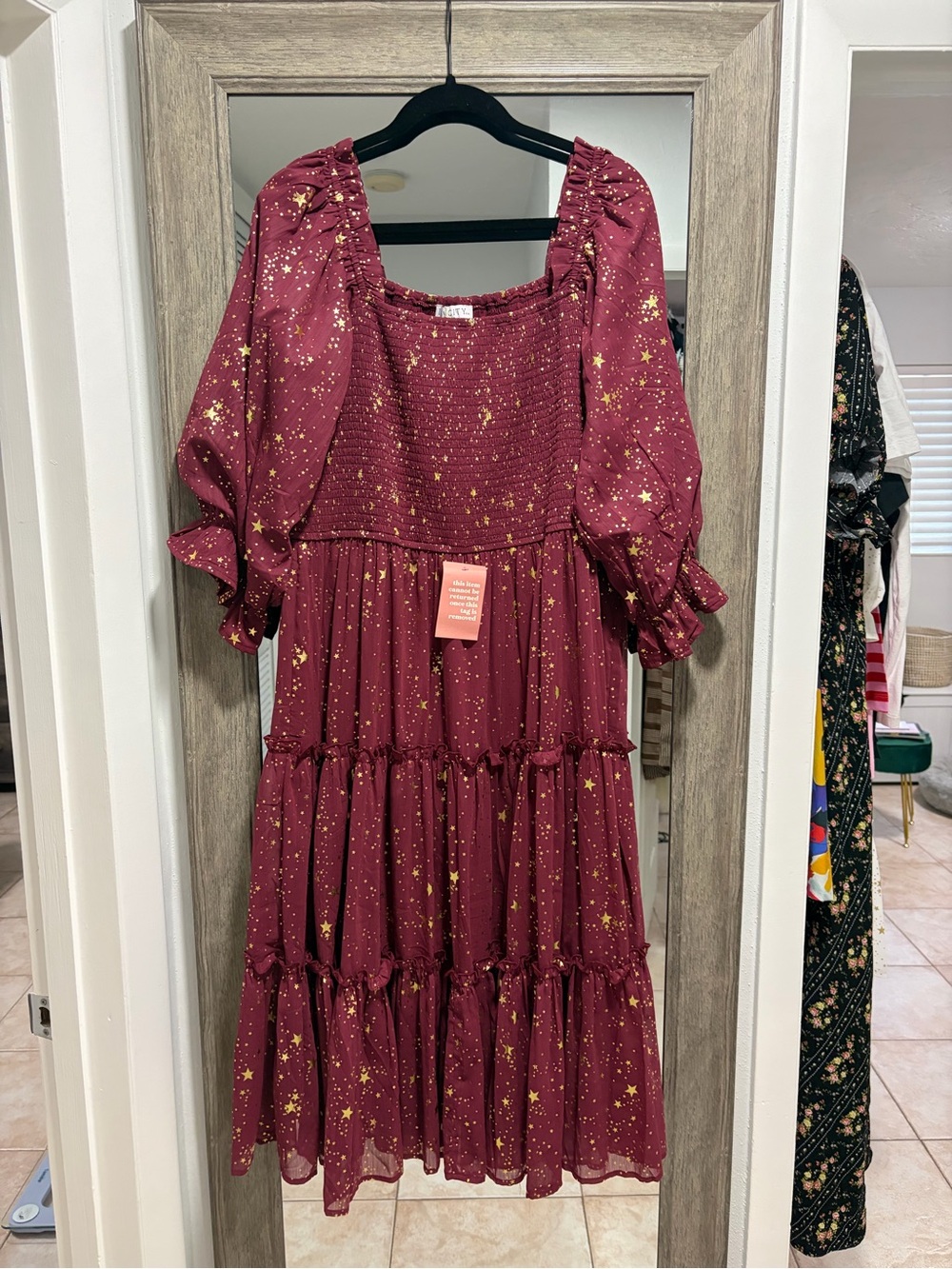 Ivy City Starry Night Dress in Merlot